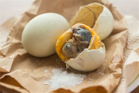 benefits of balot|Balut, The Philippine snack like no other. .